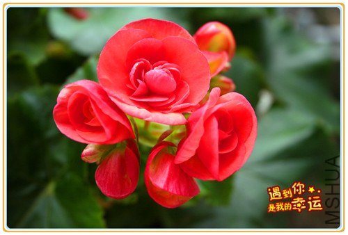 ��Ƭ 058_����.jpg