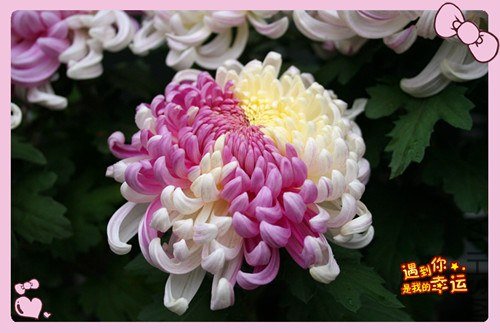 ��Ƭ 082_����.jpg