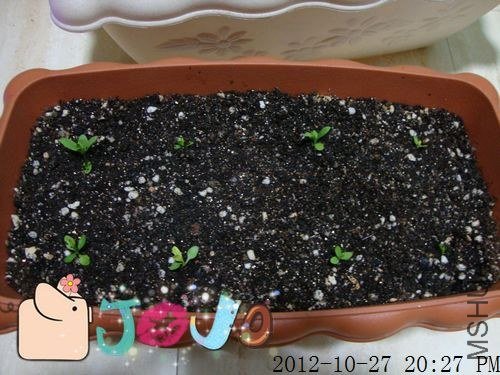 10.27 ����.jpg