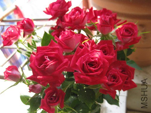 IMG_1151_����_����.jpg