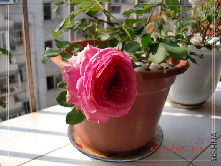 nEO_IMG_CIMG6776.1.jpg