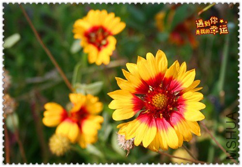 ��Ƭ 022_����.jpg