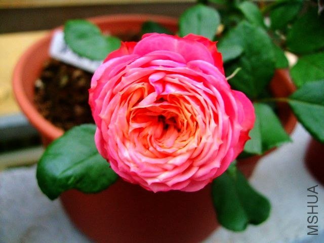 DSCF1568.JPG