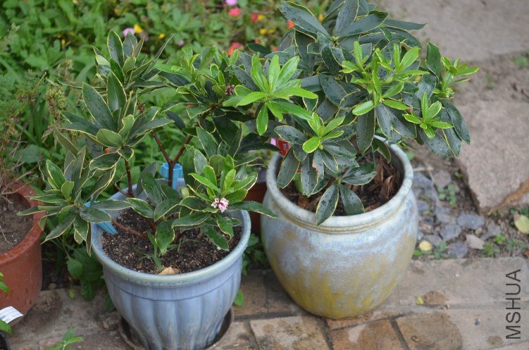 ����20121014 002.JPG