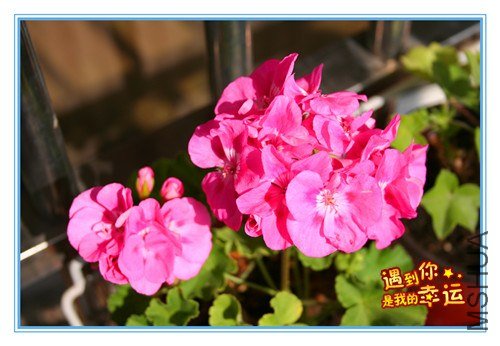 ��Ƭ 006_����1.jpg