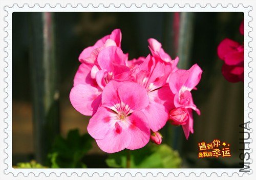 ��Ƭ 006_����.jpg