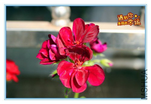 ��Ƭ 001_����2.jpg