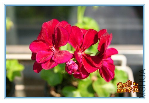 ��Ƭ 001_����.jpg