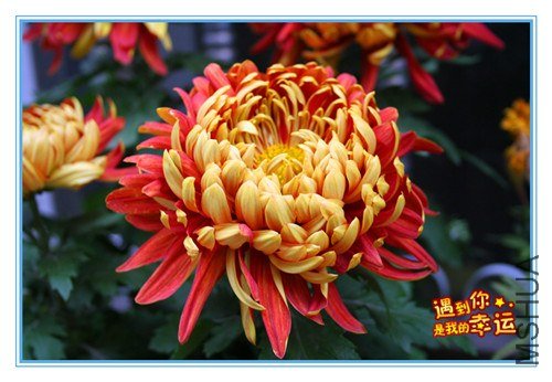 ��Ƭ 085_����.jpg