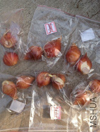 ������1.jpg