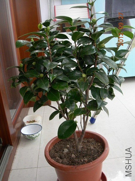 DSCN0958.JPG