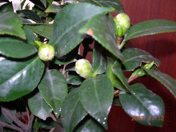 DSCN1018.JPG