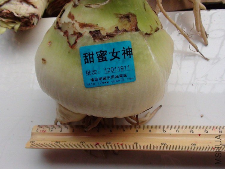 DSC01125_����.jpg