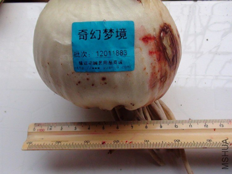 DSC01128_����.jpg