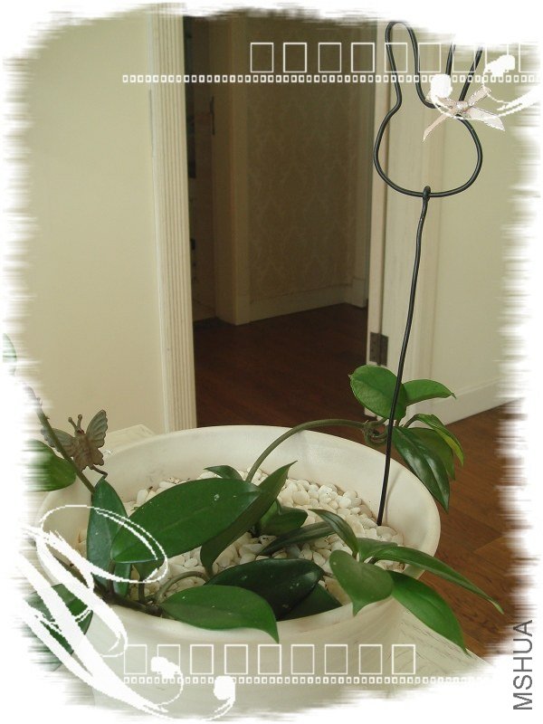 Ů������С��