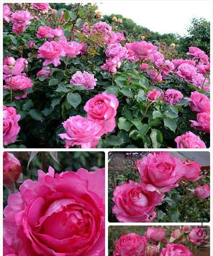 0xx.jpg