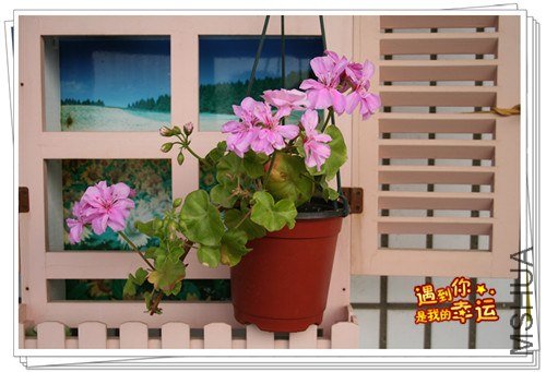 ��Ƭ 053_����.jpg