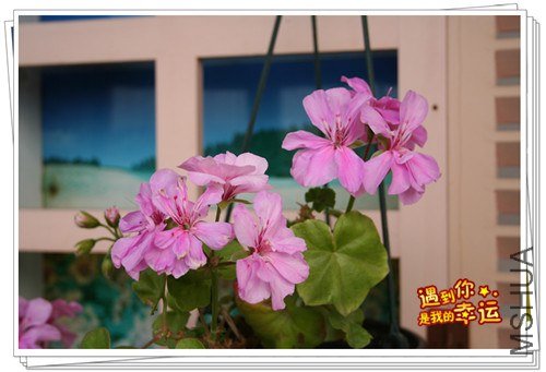 ��Ƭ 055_����.jpg