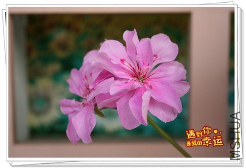 ��Ƭ 057_����.jpg