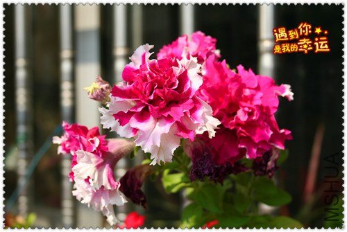 ��Ƭ 034_����.jpg