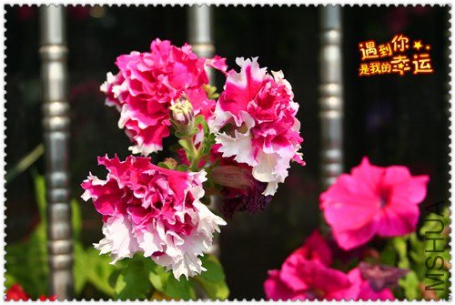 ��Ƭ 031_����.jpg