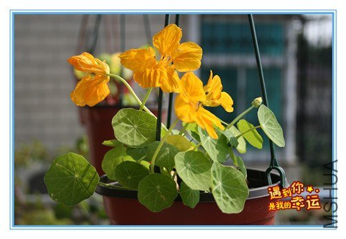 ��Ƭ 006_����.jpg