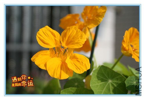 ��Ƭ 010_����.jpg