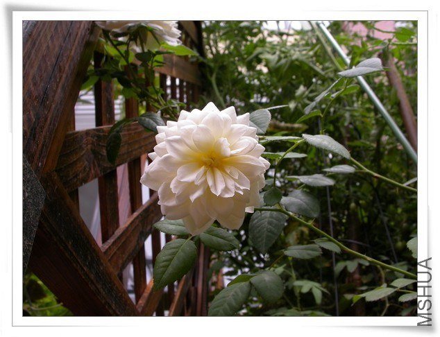 DSCN3508.JPG