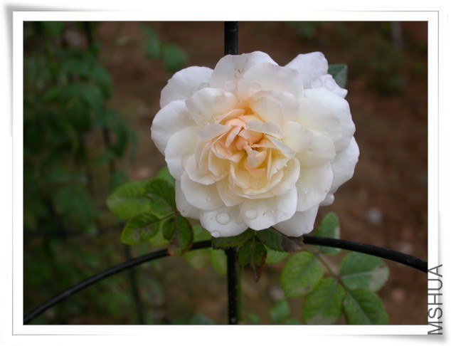 DSCN3660.JPG