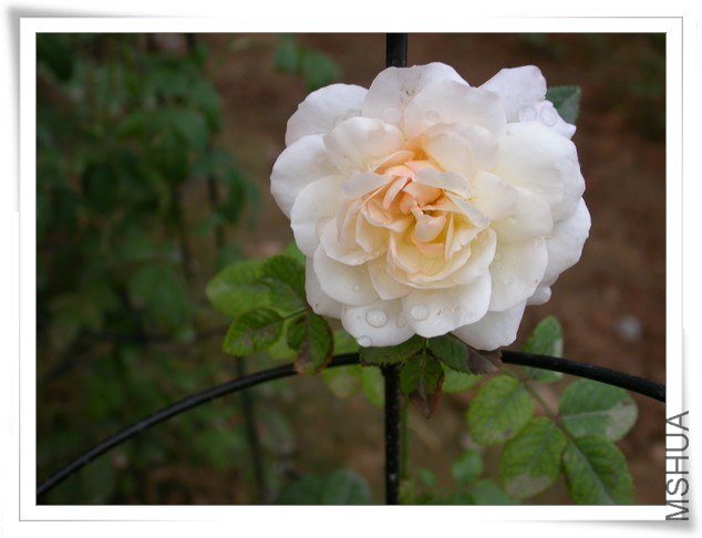 DSCN3664.JPG