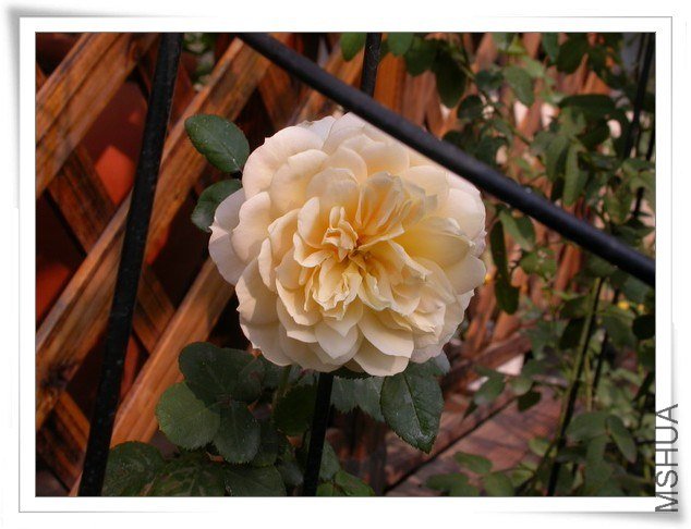 DSCN3755.JPG