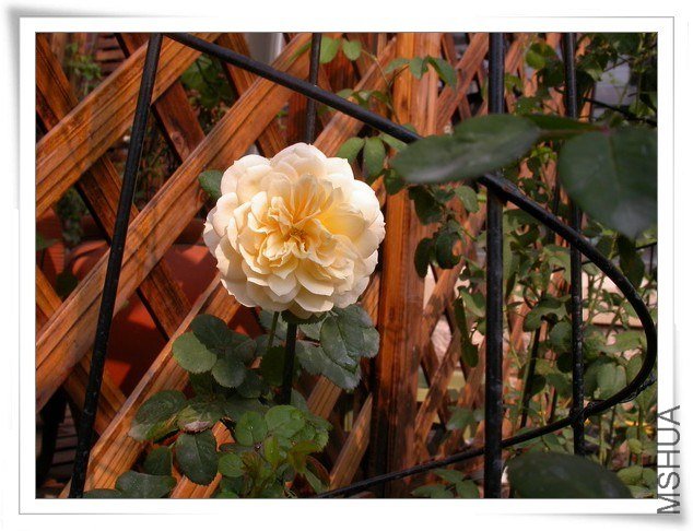DSCN3759.JPG