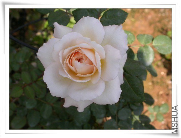 DSCN3790.JPG