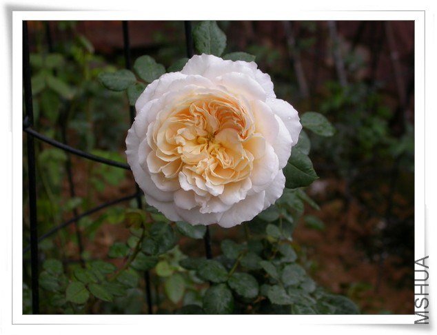 DSCN3798.JPG