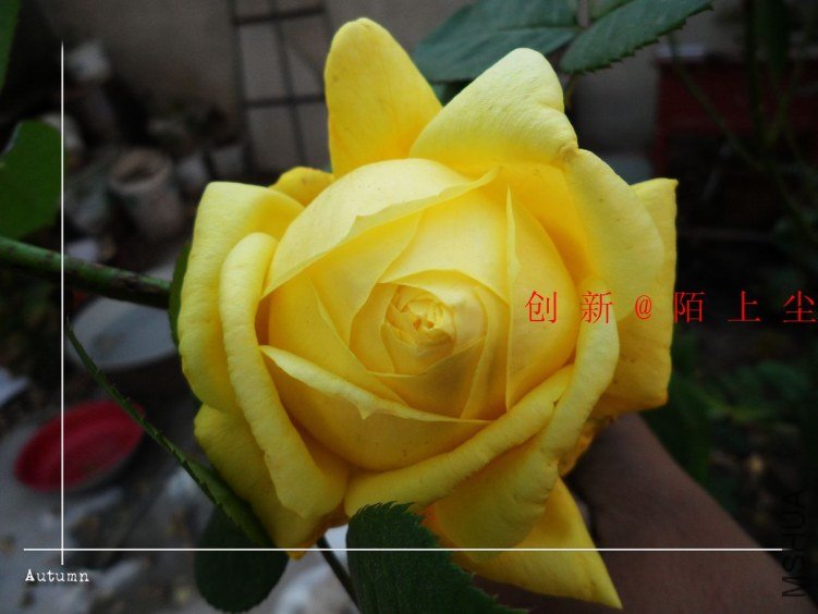 nEO_IMG_SAM_5841.jpg