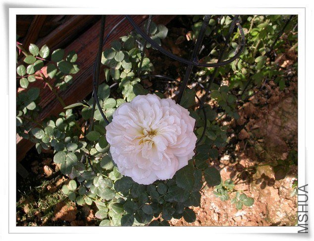 DSCN3833.JPG