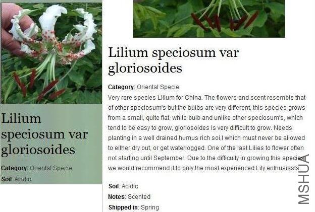note.jpg