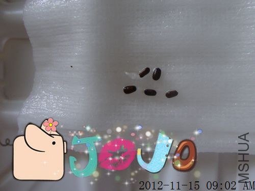 11.15 ������Ůʿδ�ݳ�ù�ص�5��¶��.jpg