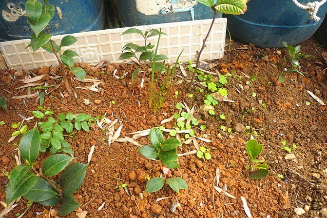 ���ǵ��ԵĲ���