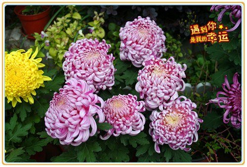 ��Ƭ 068_����.jpg