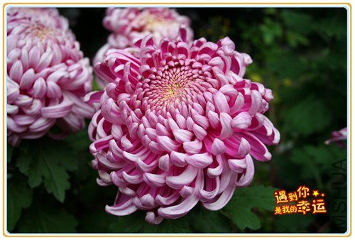 ��Ƭ 070_����.jpg