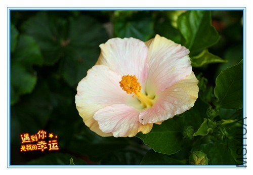 ��Ƭ 047_����.jpg