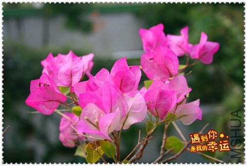 ��Ƭ 059_����.jpg