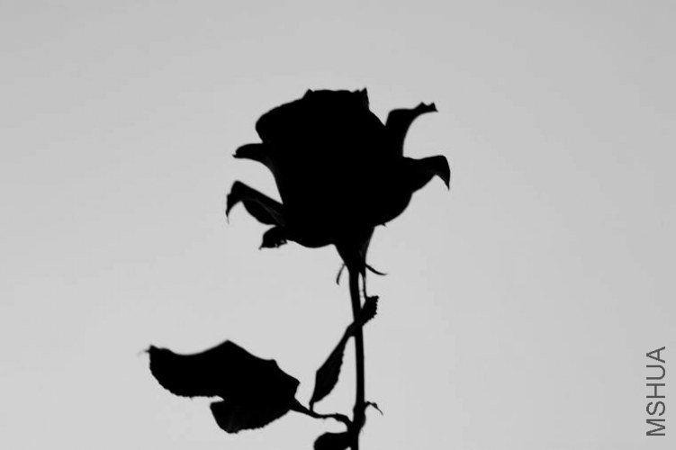 nEO_IMG_IMG_3898.jpg