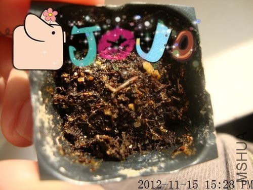 11.15 ��˹��.jpg