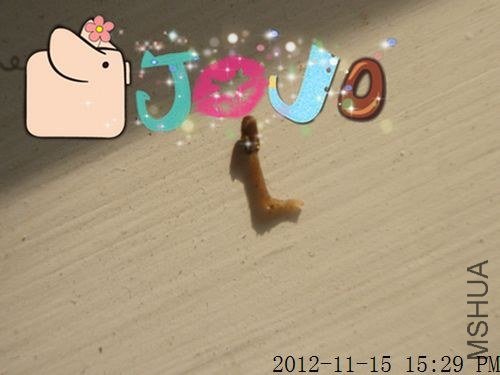 11.15  ��˹��.jpg