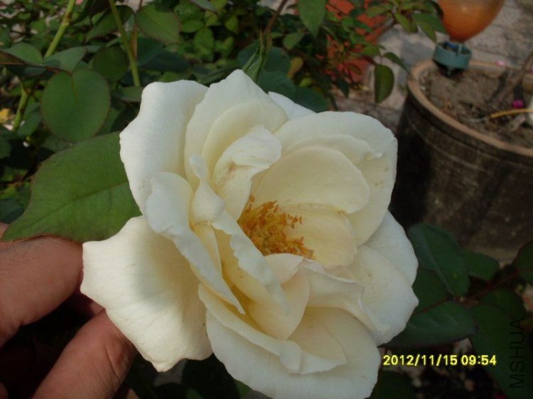 SDC14818_nEO_IMG.jpg
