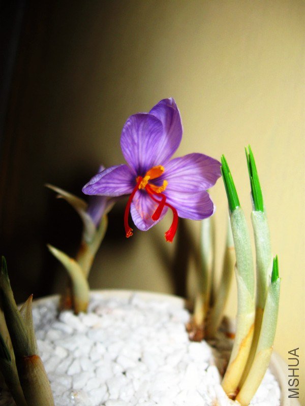 ��Ƭ 016_����.jpg