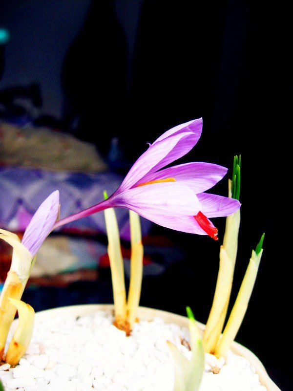 ��Ƭ 013_����.jpg