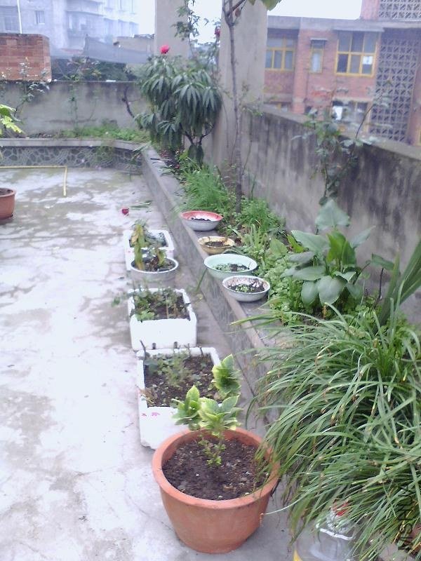 IMG0167A_B.jpg